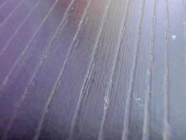 AbbyJhonsS from BongaCams