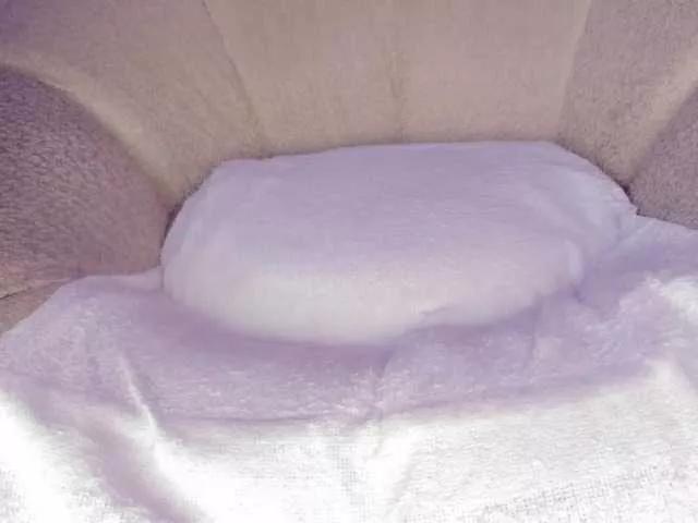 cutte-hanna18 from BongaCams