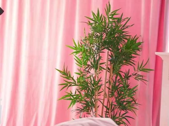 JennaDay from BongaCams