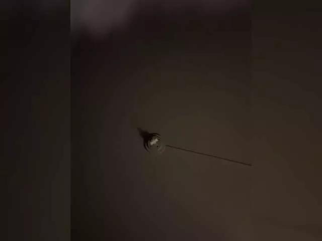 JullietteLatte from BongaCams