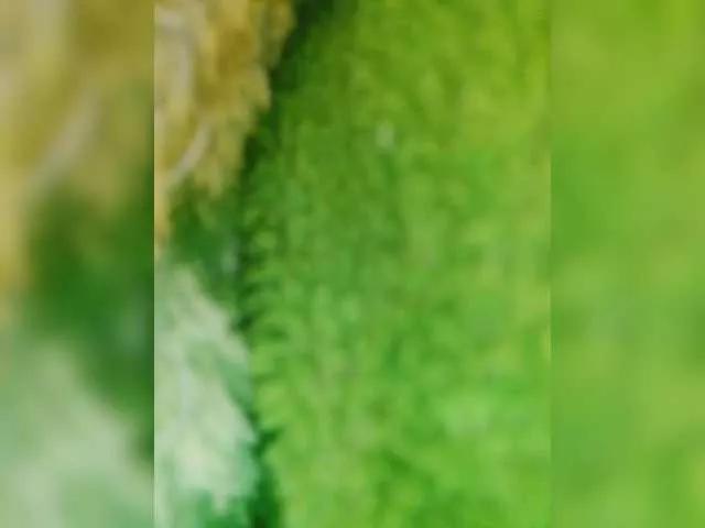 Lulu-Erotica from BongaCams