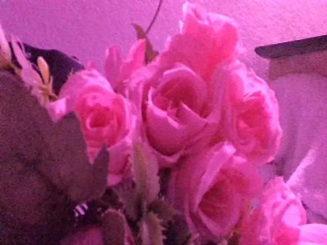 luvu4everxxx from BongaCams
