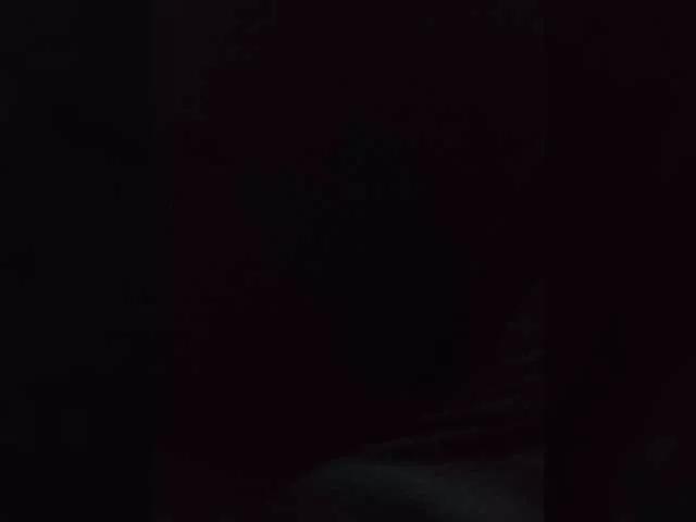 Niki233221 webcams show profile image 
