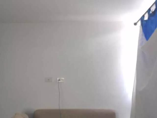 Polet-Lambertt webcams show profile image 