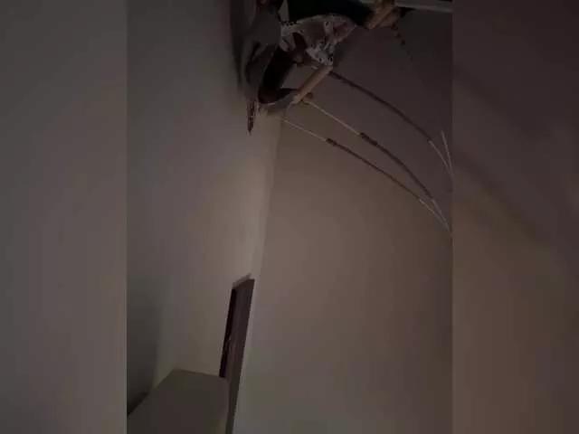ReveMignoneX from BongaCams