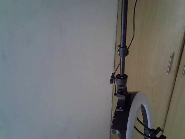 Sweetrose webcams show profile image 