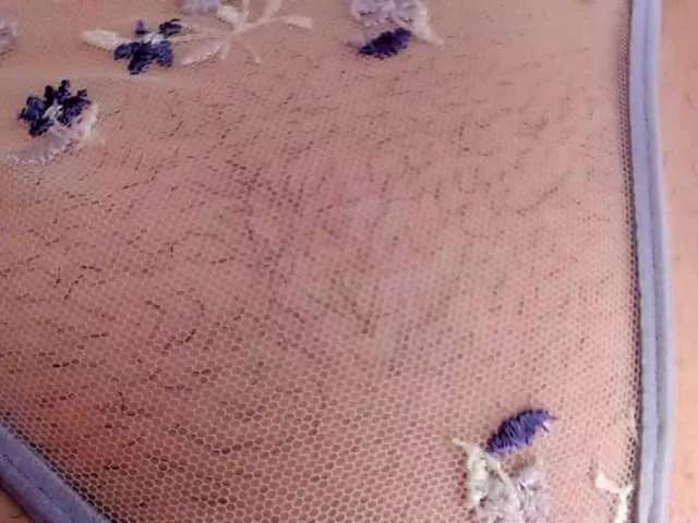 teeencute from BongaCams