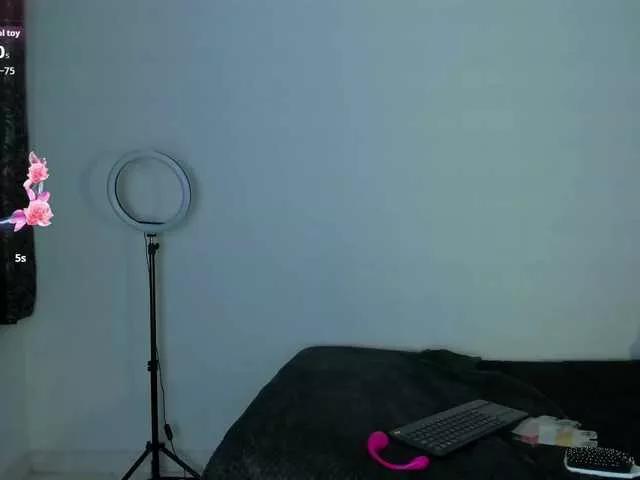 ValeStone webcams show profile image 