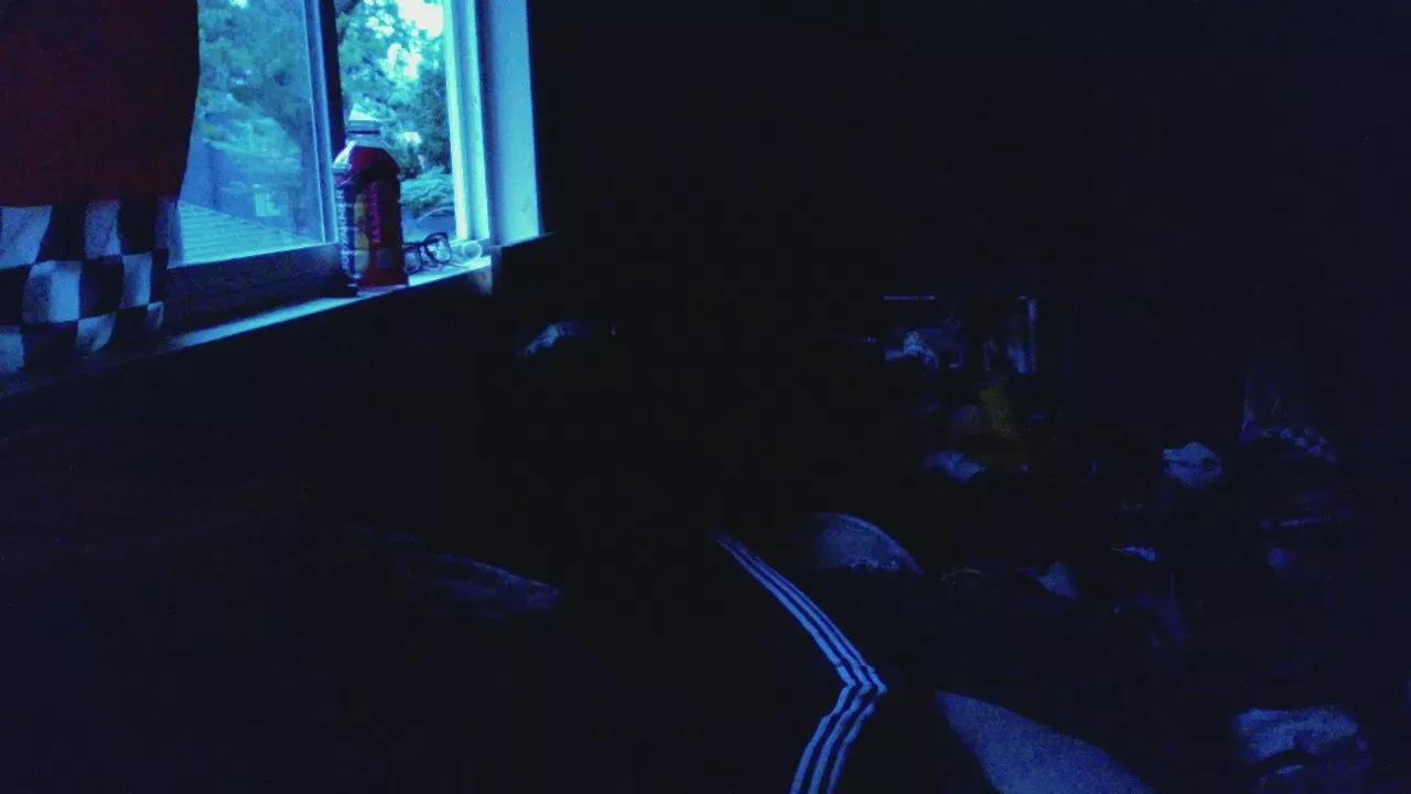 420_pdx webcams show profile image 