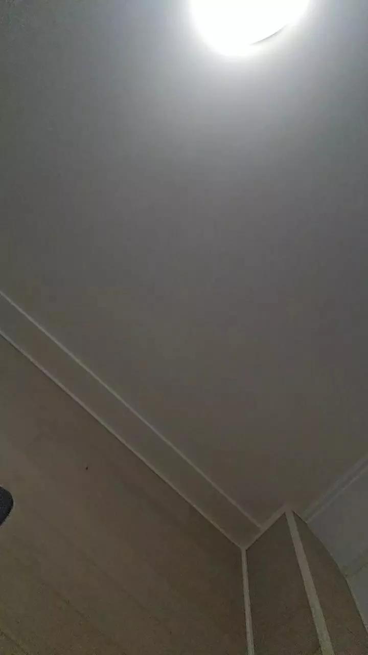 AleeIlary from Cam4