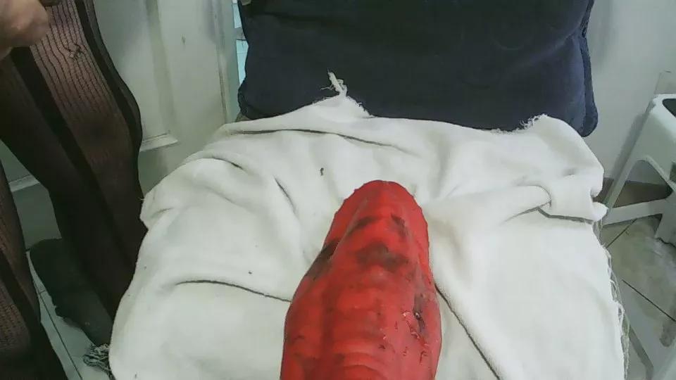 antares564 from Cam4