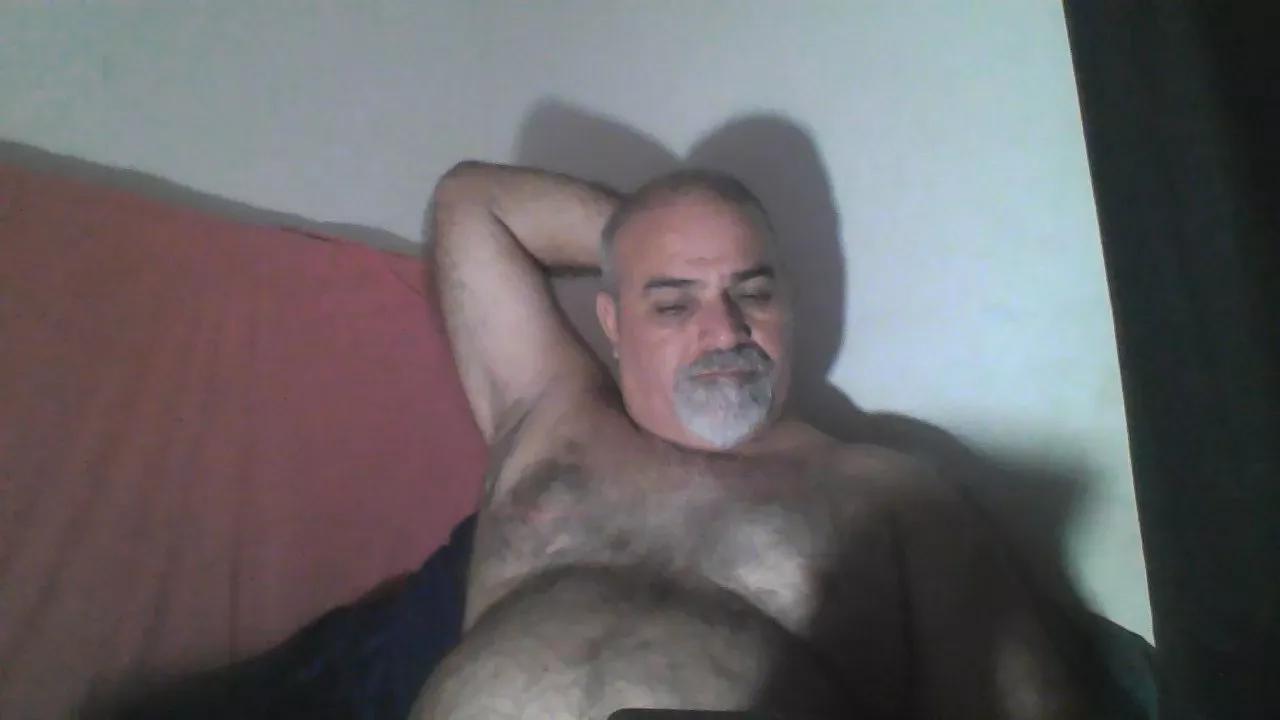 Bearoliverpcd webcams show profile image 
