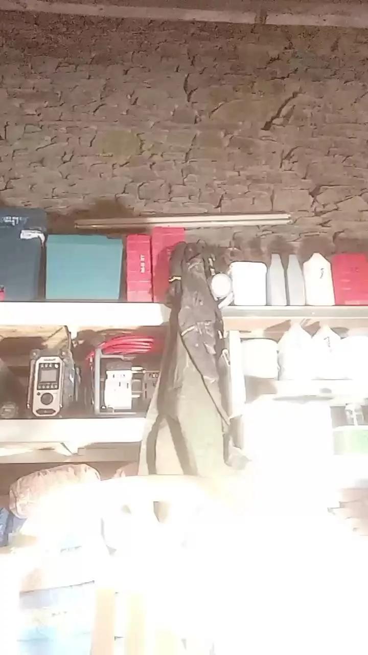 Benitoushow webcams show profile image 