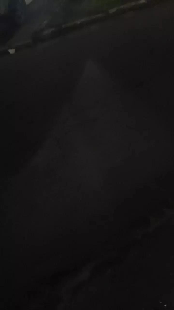 BielStan webcams show profile image 