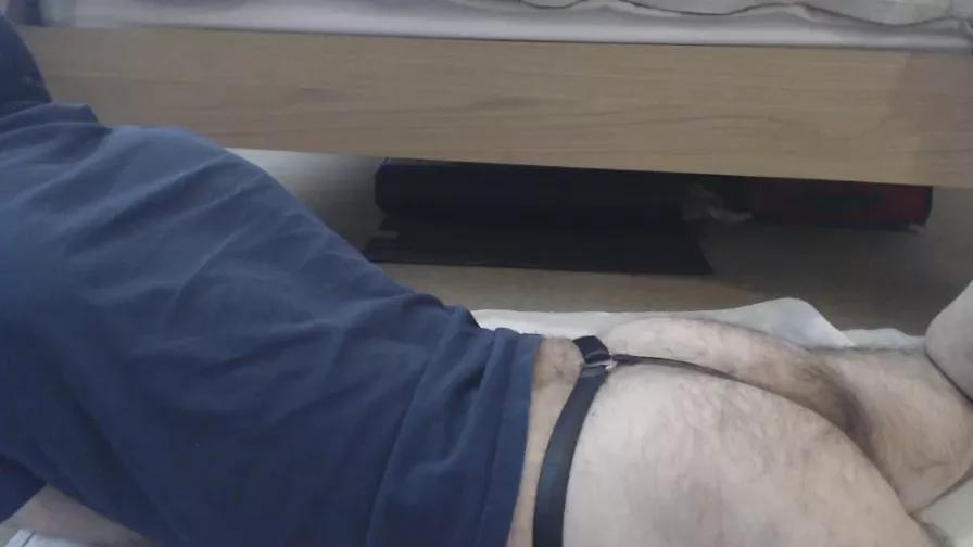 bobbuild2016 from Cam4