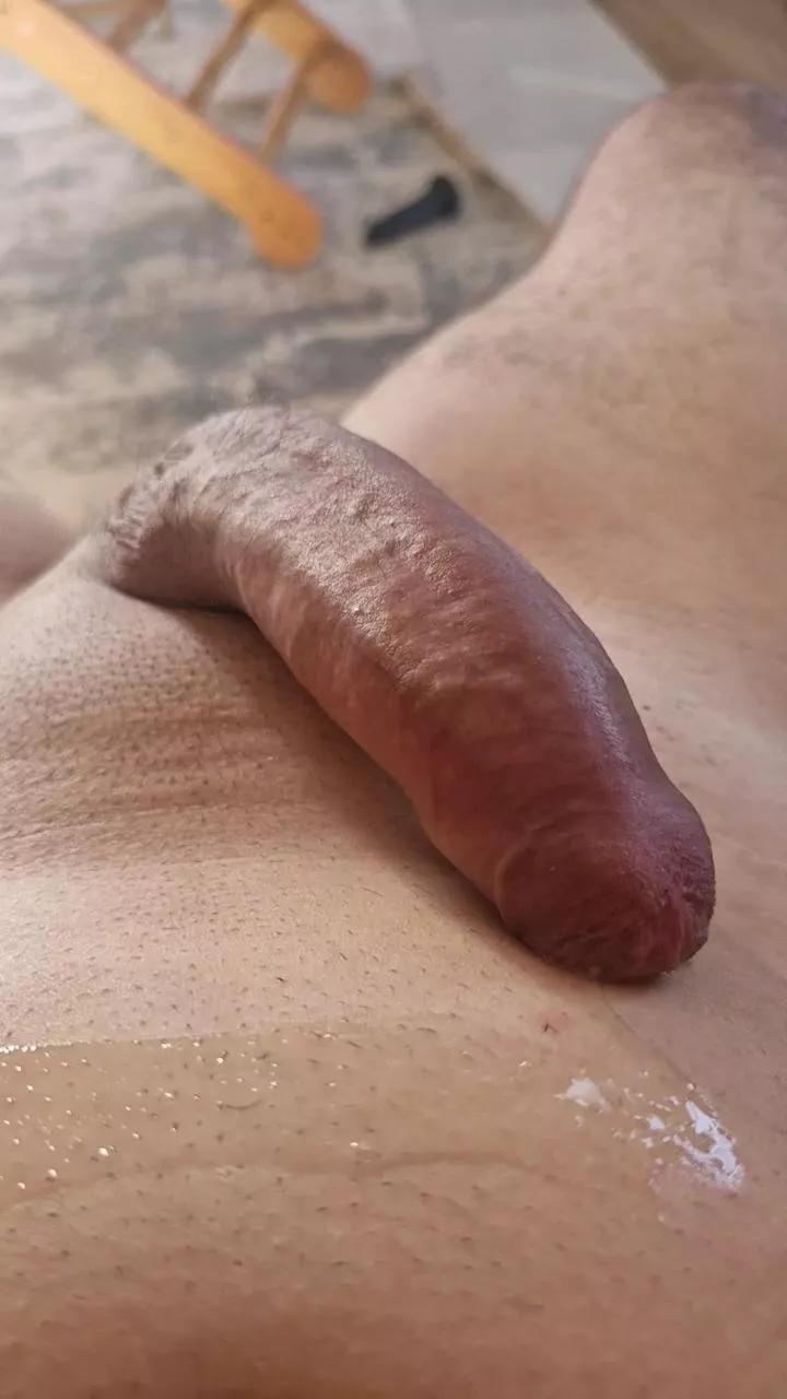 Caminhoneiroo webcams show profile image 