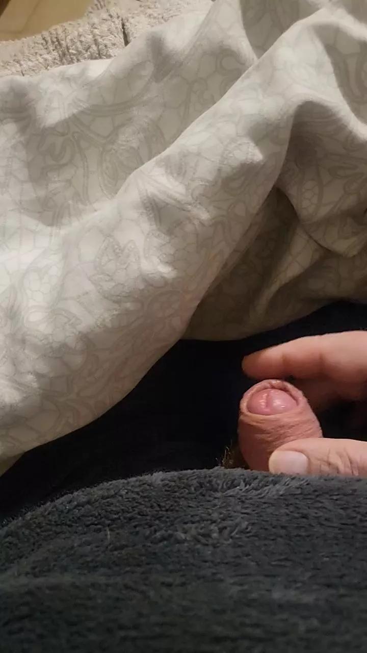 Dantecm4 webcams show profile image 