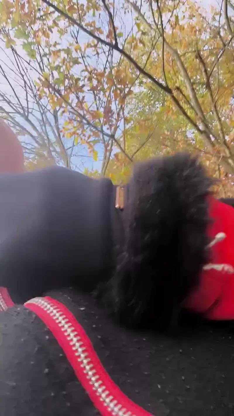 Diosa_Aeval webcams show profile image 