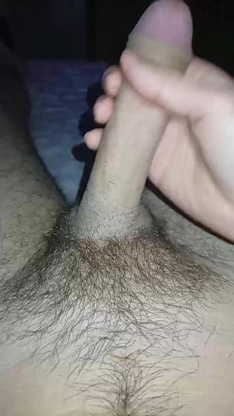 Foijr webcams show profile image 