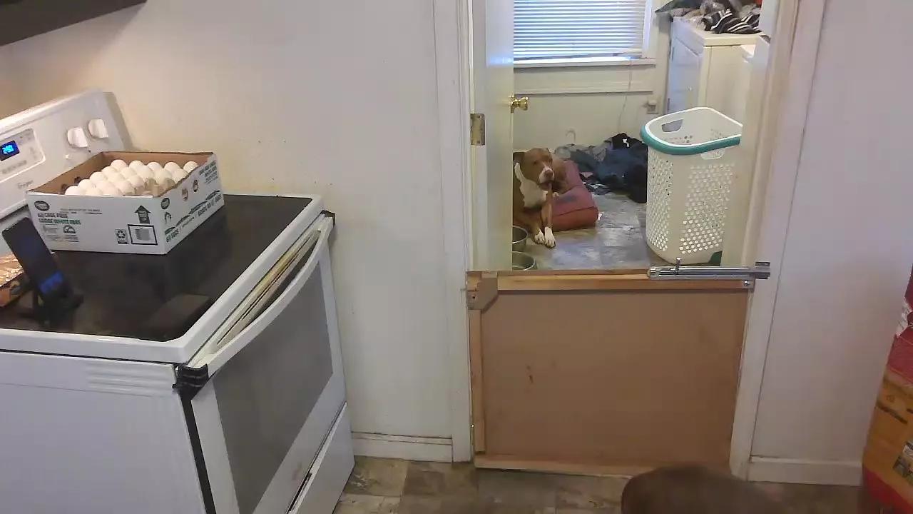 highnessTaZ420 from Cam4