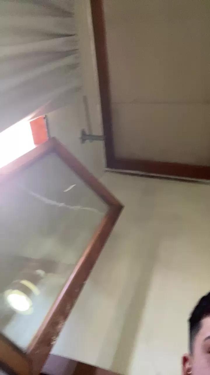 Ignatwink webcams show profile image 