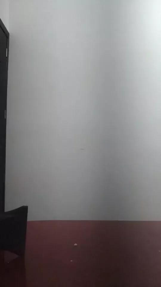 Louis493 webcams show profile image 