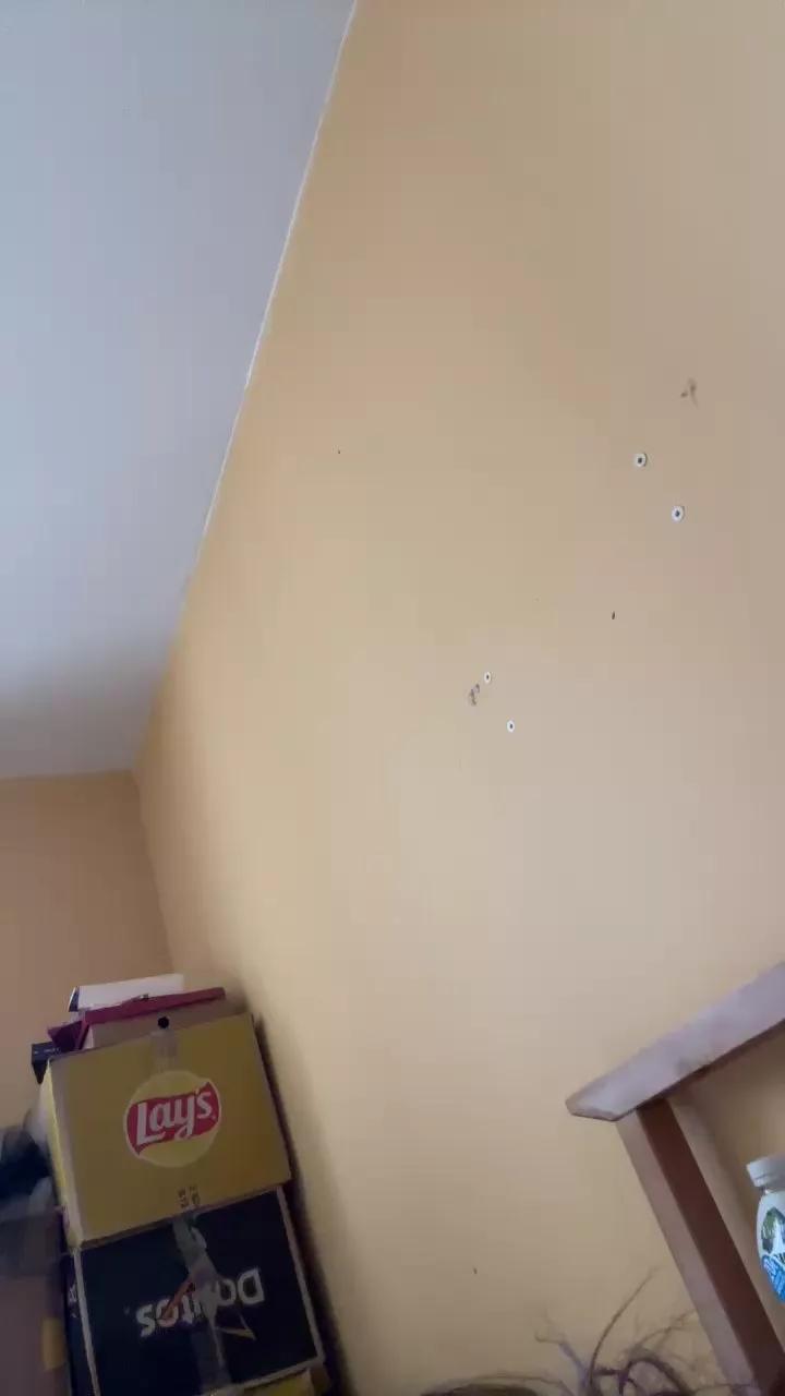 LuxeBC webcams show profile image 