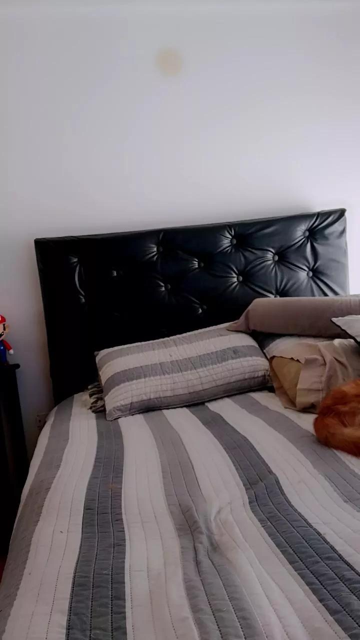 Marubeltra webcams show profile image 