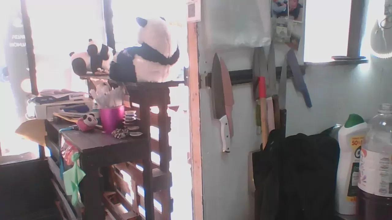 miichellemalv from Cam4
