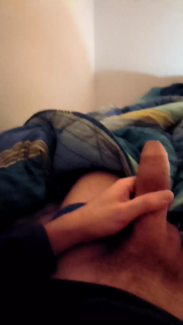 Molossohot webcams show profile image 