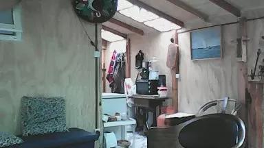 Morbositonuevo webcams show profile image 