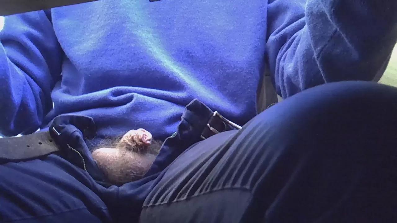 myMistressSlave from Cam4