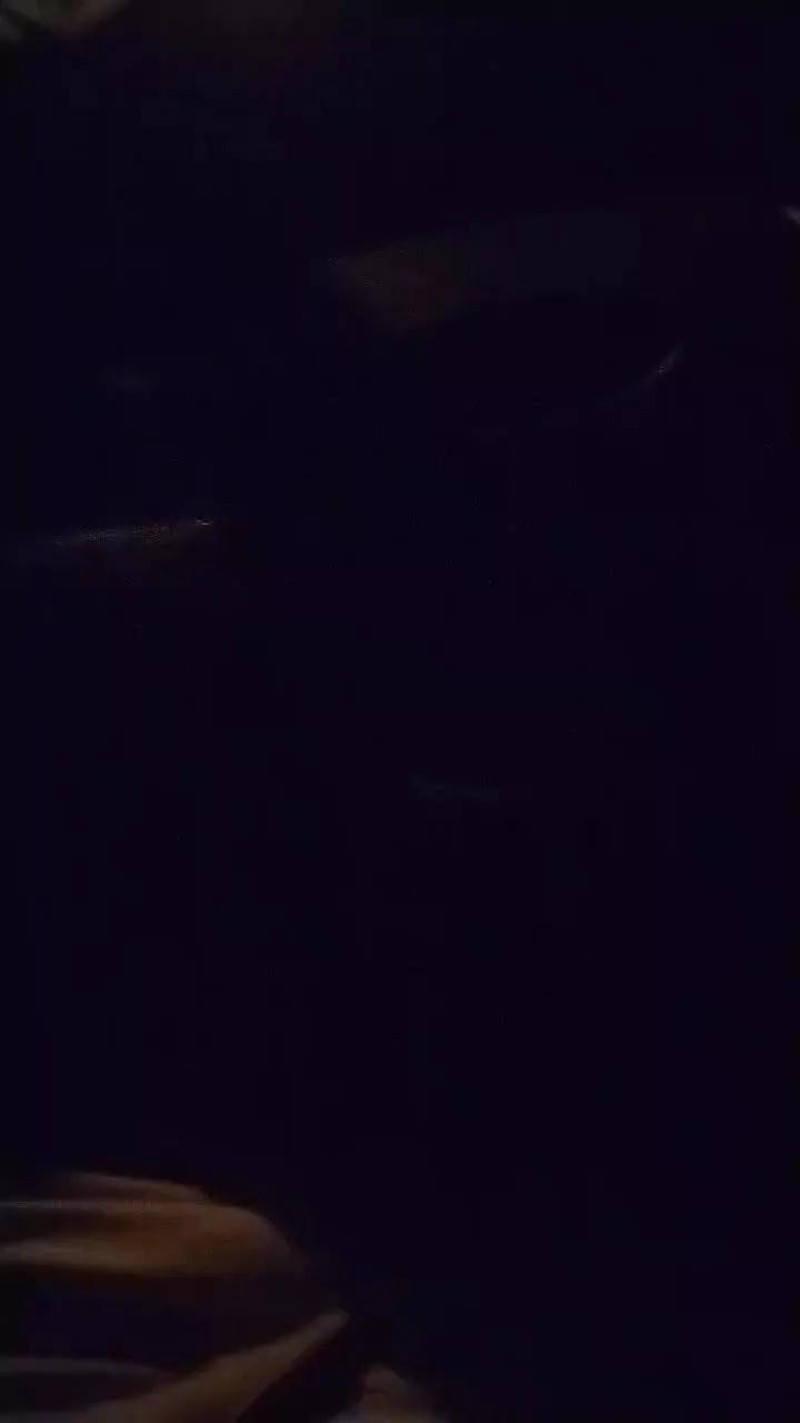 Nino277 webcams show profile image 