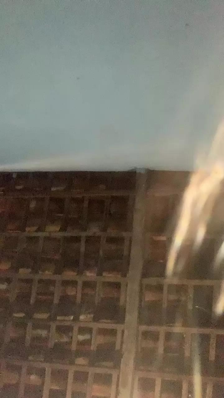 Novinhosacana19 webcams show profile image 