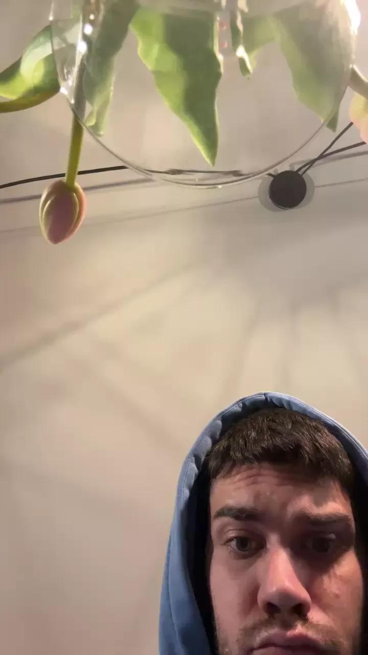 pallido225 from Cam4