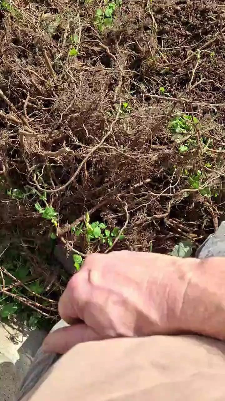 Plair4421 webcams show profile image 