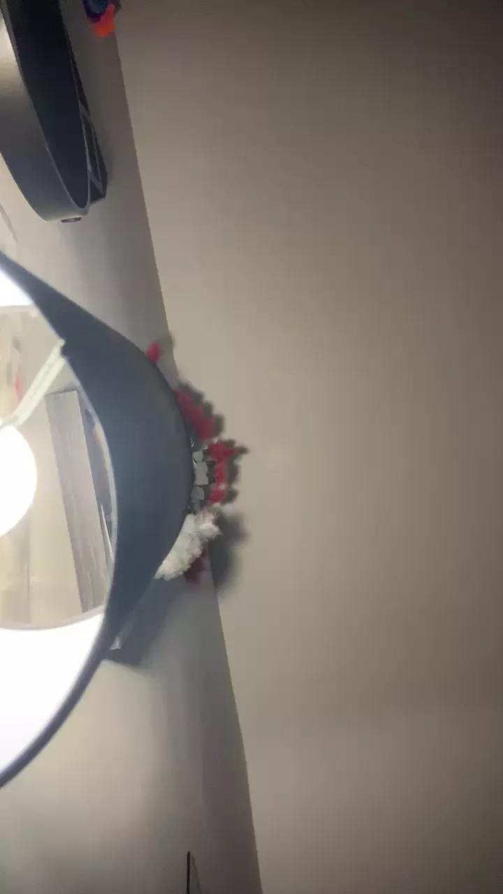 Pollonerox from Cam4