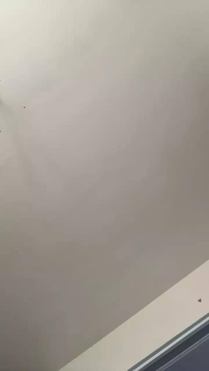 Pollonerox from Cam4