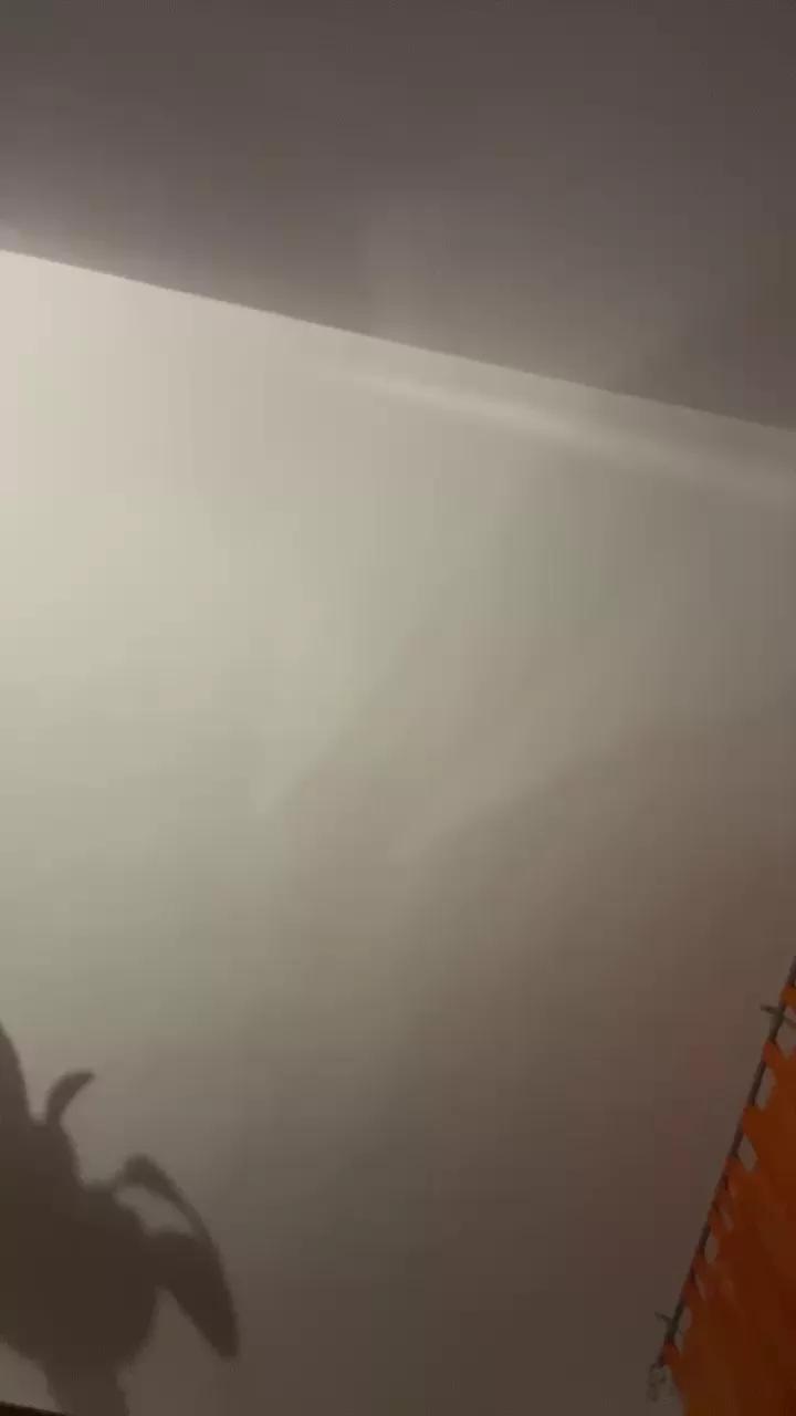 Pollonerox from Cam4