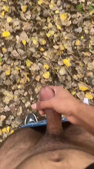 Porcobg18 webcams show profile image 