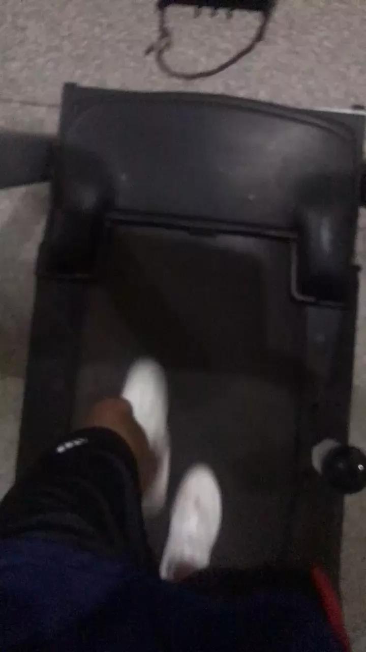 rodrigohot31 from Cam4