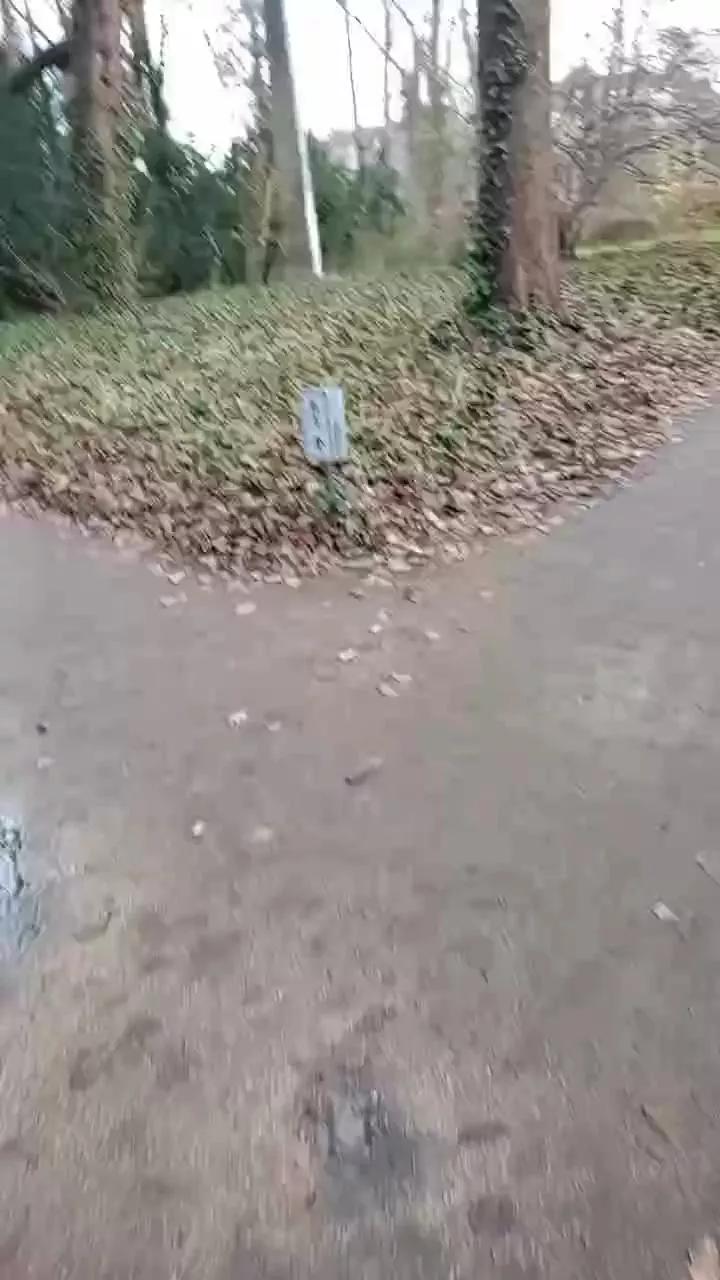 Sikici20 webcams show profile image 