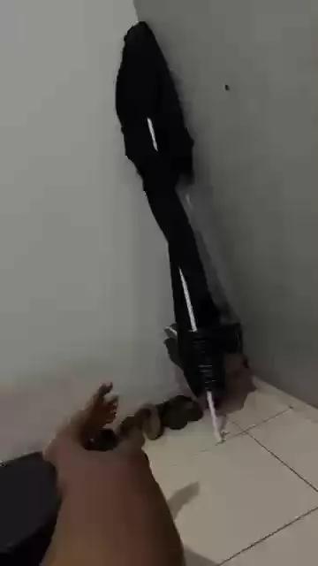 Silvaramos1 webcams show profile image 