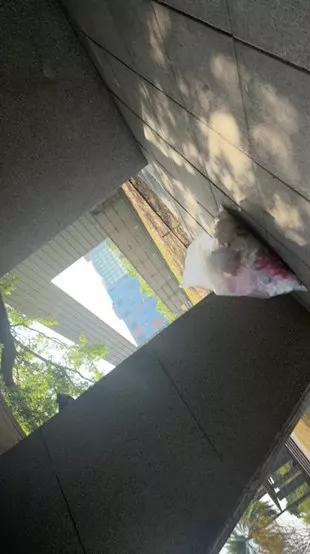 Suwolanpa webcams show profile image 