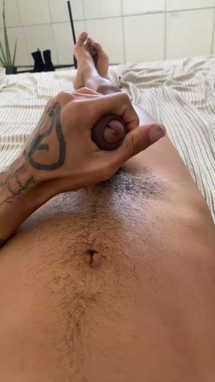 Terrordobaile webcams show profile image 