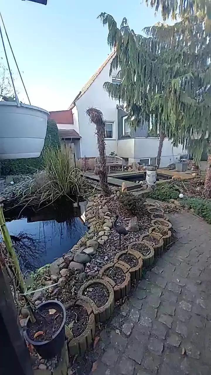 Toti1972 webcams show profile image 