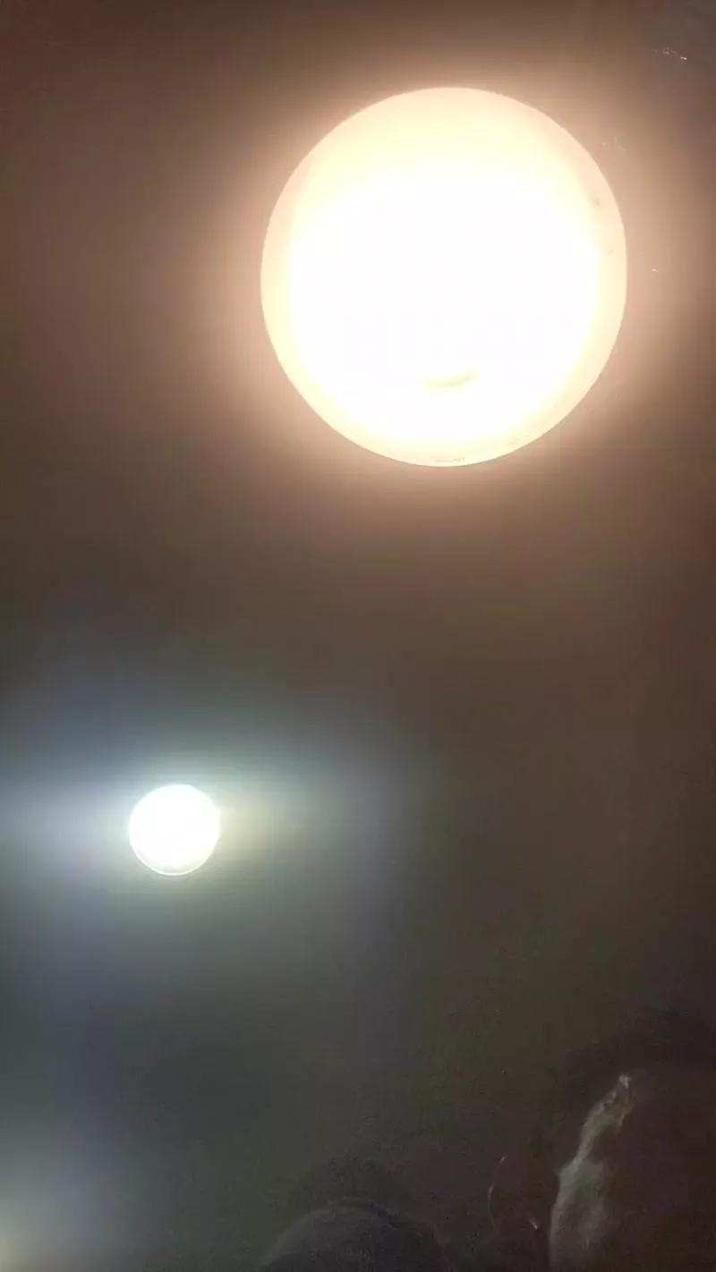 Viteperromad webcams show profile image 