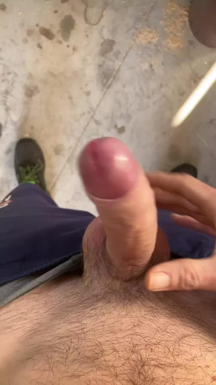 Wildm3 webcams show profile image 