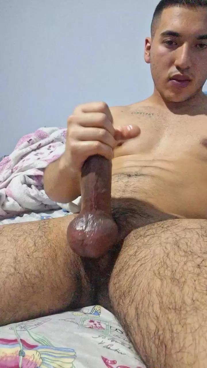 Willlllll_ webcams show profile image 