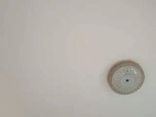 amalarabic from CamSoda